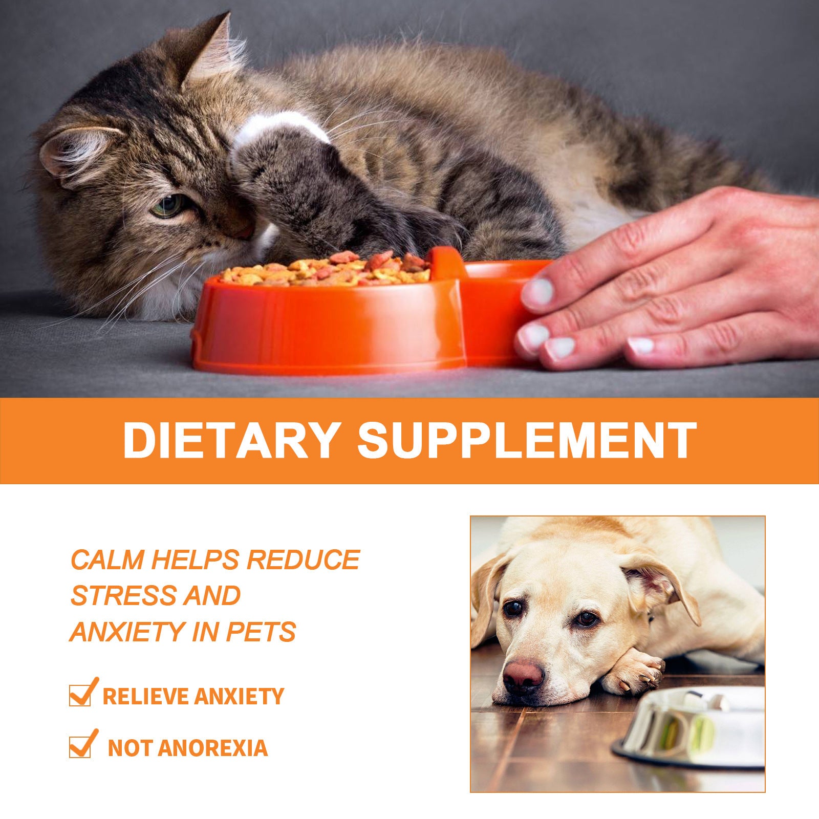 Pet Cat And Dog Diet Care To Enhance Physical Fitness And Nutritional Supplements